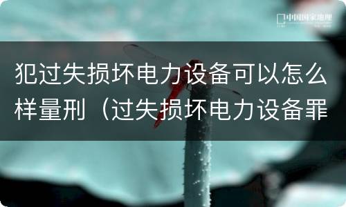 犯过失损坏电力设备可以怎么样量刑（过失损坏电力设备罪案例）