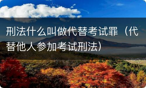 刑法什么叫做代替考试罪（代替他人参加考试刑法）