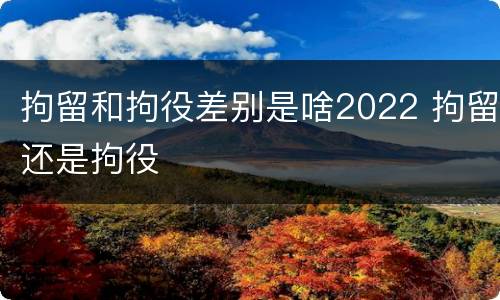 拘留和拘役差别是啥2022 拘留还是拘役