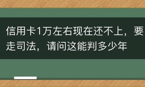 信用卡1万左右现在还不上，要走司法，请问这能判多少年