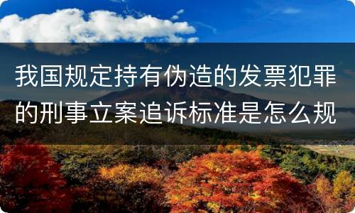 我国规定持有伪造的发票犯罪的刑事立案追诉标准是怎么规定