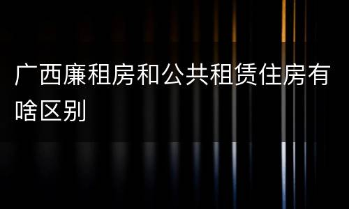 广西廉租房和公共租赁住房有啥区别
