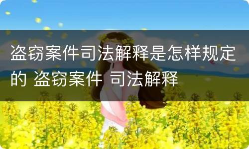 盗窃案件司法解释是怎样规定的 盗窃案件 司法解释