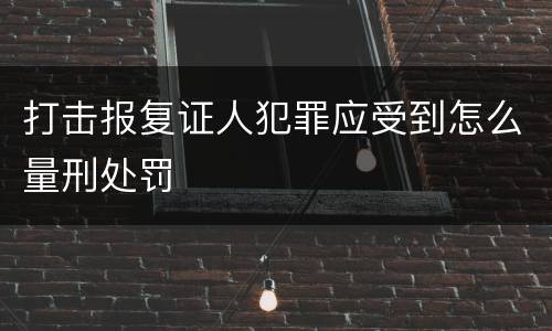 打击报复证人犯罪应受到怎么量刑处罚