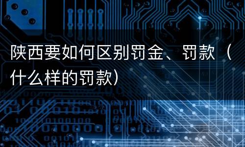 陕西要如何区别罚金、罚款（什么样的罚款）