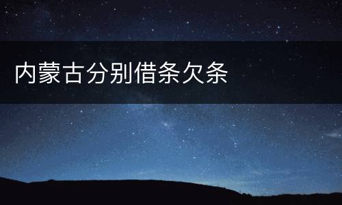 内蒙古分别借条欠条