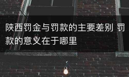 陕西罚金与罚款的主要差别 罚款的意义在于哪里