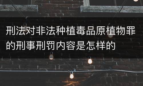 刑法对非法种植毒品原植物罪的刑事刑罚内容是怎样的