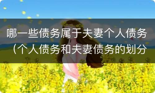 哪一些债务属于夫妻个人债务（个人债务和夫妻债务的划分）