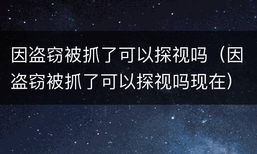 因盗窃被抓了可以探视吗（因盗窃被抓了可以探视吗现在）