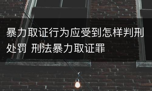 暴力取证行为应受到怎样判刑处罚 刑法暴力取证罪