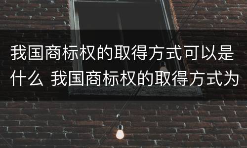 我国商标权的取得方式可以是什么 我国商标权的取得方式为