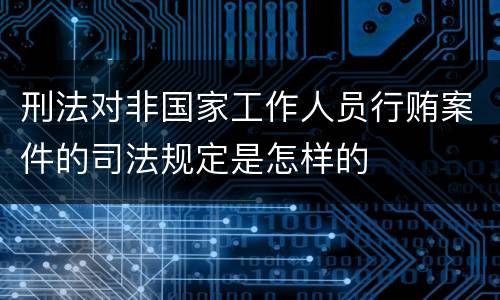 刑法对非国家工作人员行贿案件的司法规定是怎样的