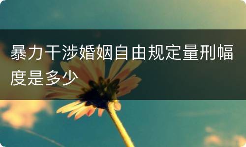 暴力干涉婚姻自由规定量刑幅度是多少