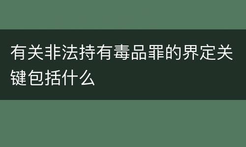 有关非法持有毒品罪的界定关键包括什么