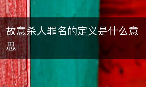 故意杀人罪名的定义是什么意思