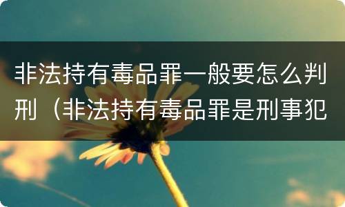 非法持有毒品罪一般要怎么判刑（非法持有毒品罪是刑事犯罪吗）