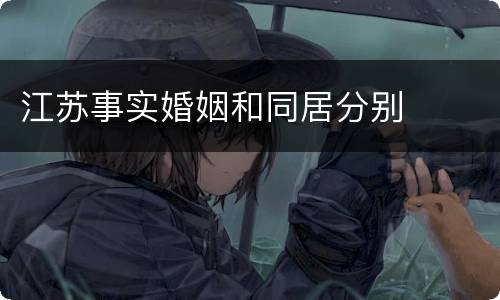 江苏事实婚姻和同居分别