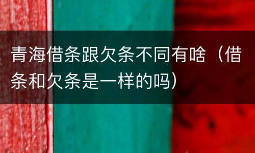 青海借条跟欠条不同有啥（借条和欠条是一样的吗）