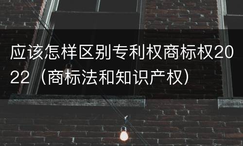应该怎样区别专利权商标权2022（商标法和知识产权）