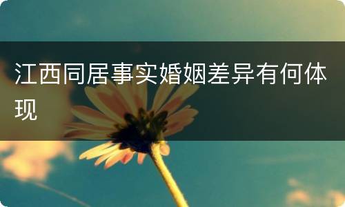 江西同居事实婚姻差异有何体现