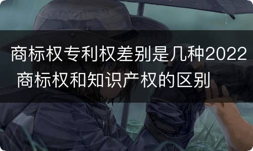 商标权专利权差别是几种2022 商标权和知识产权的区别