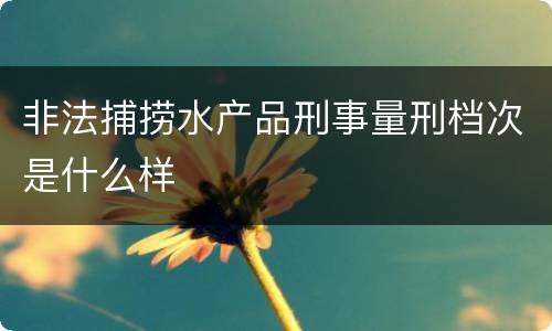 非法捕捞水产品刑事量刑档次是什么样