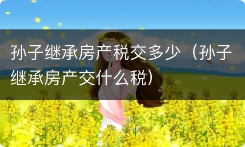 孙子继承房产税交多少（孙子继承房产交什么税）