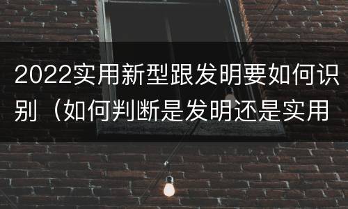 2022实用新型跟发明要如何识别（如何判断是发明还是实用新型）