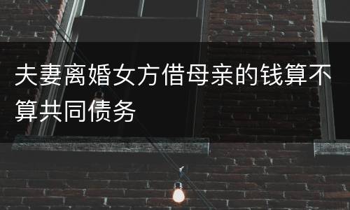 夫妻离婚女方借母亲的钱算不算共同债务