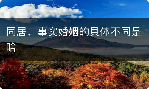同居、事实婚姻的具体不同是啥