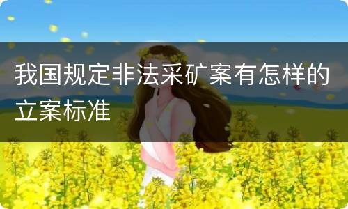 我国规定非法采矿案有怎样的立案标准