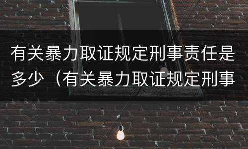 有关暴力取证规定刑事责任是多少（有关暴力取证规定刑事责任是多少条）