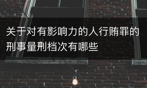 关于对有影响力的人行贿罪的刑事量刑档次有哪些