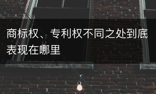 商标权、专利权不同之处到底表现在哪里