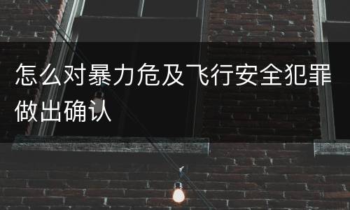 怎么对暴力危及飞行安全犯罪做出确认