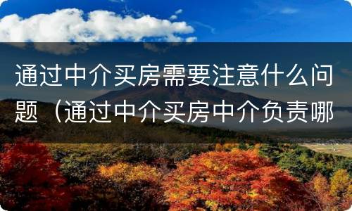 通过中介买房需要注意什么问题（通过中介买房中介负责哪些）