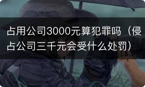 占用公司3000元算犯罪吗（侵占公司三千元会受什么处罚）