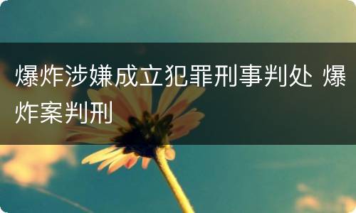 爆炸涉嫌成立犯罪刑事判处 爆炸案判刑