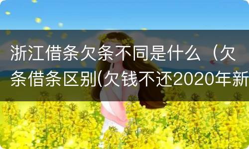 浙江借条欠条不同是什么（欠条借条区别(欠钱不还2020年新规 - 法律之家）