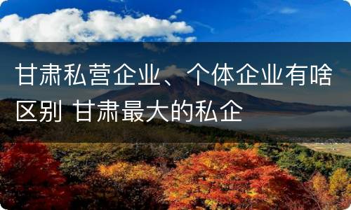 甘肃私营企业、个体企业有啥区别 甘肃最大的私企