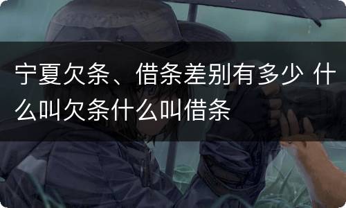 宁夏欠条、借条差别有多少 什么叫欠条什么叫借条