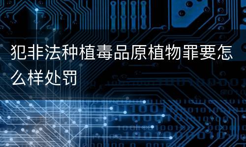 犯非法种植毒品原植物罪要怎么样处罚