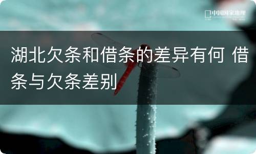 湖北欠条和借条的差异有何 借条与欠条差别
