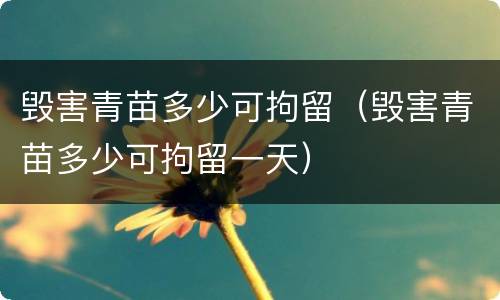 毁害青苗多少可拘留（毁害青苗多少可拘留一天）