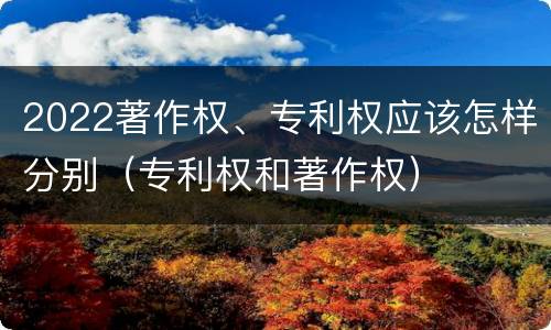 2022著作权、专利权应该怎样分别（专利权和著作权）