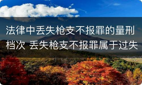 法律中丢失枪支不报罪的量刑档次 丢失枪支不报罪属于过失犯罪吗