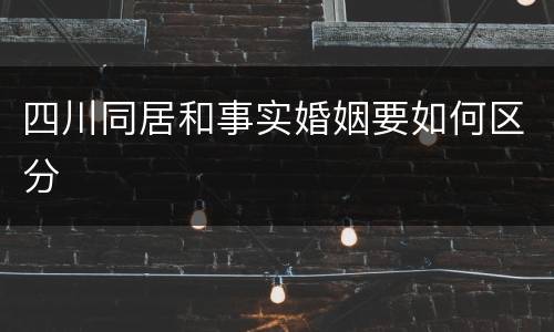 四川同居和事实婚姻要如何区分