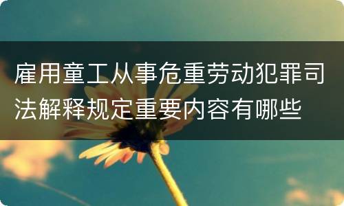 雇用童工从事危重劳动犯罪司法解释规定重要内容有哪些
