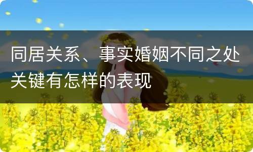 同居关系、事实婚姻不同之处关键有怎样的表现